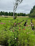 IMG_4823
