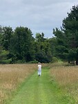 IMG_6456
