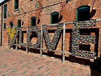 IMG_4883