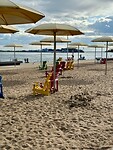 IMG_4931