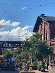 IMG_6534