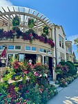 IMG_4950