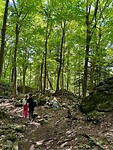 IMG_4976