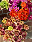IMG_5150