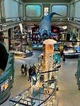 IMG_5305