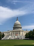 IMG_6687