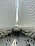 IMG_5622