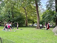IMG_5781