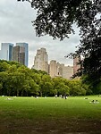 IMG_5785