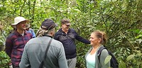 Kletsen over de chimpansees