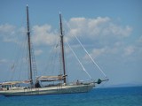 De Derwent Hunter