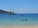 Snorkelen bij Whitsunday Island