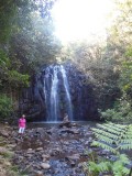 Waterval in Milaa Milaa