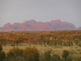 Sunrise  op de Kata-Tjuta