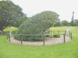 Botanische tuin
