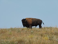 P1040215