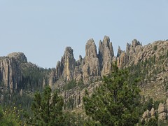 P1040231