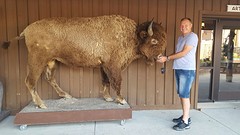 IMG-20160901-WA0008