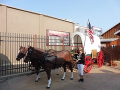P1040281