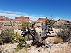 20160905_121802