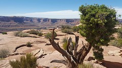 IMG-20160905-WA0011