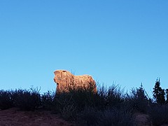 20160906_091644