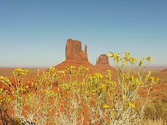 P1040784