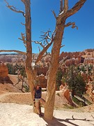 20160911_124829