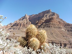 P1050396