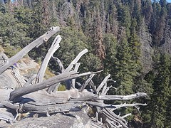 20160916_100112