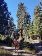 20160916_104543