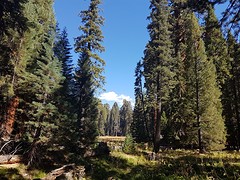 20160916_105523