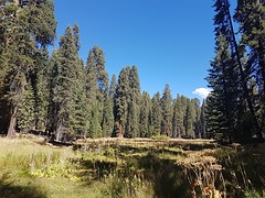 20160916_105822