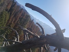 20160916_100028