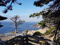 20160917_100558