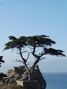 P1020112