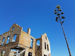 20160918_115359