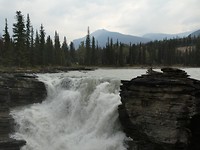 P1030103
