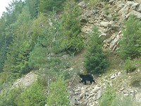 P1030233