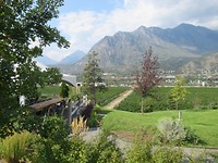 IMG_2832