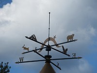 IMG_2862