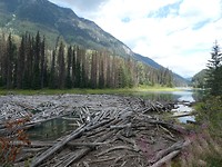 P1030351