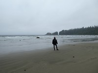 P1030639