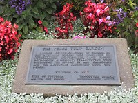 IMG_3175