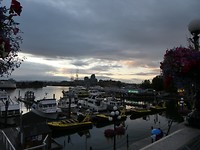 P1030789