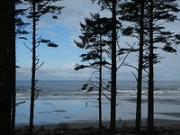 P1040252