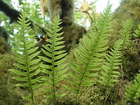 P1040280