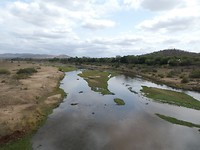 P1070926