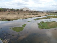 P1070934