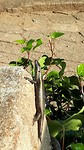 20191014_160533